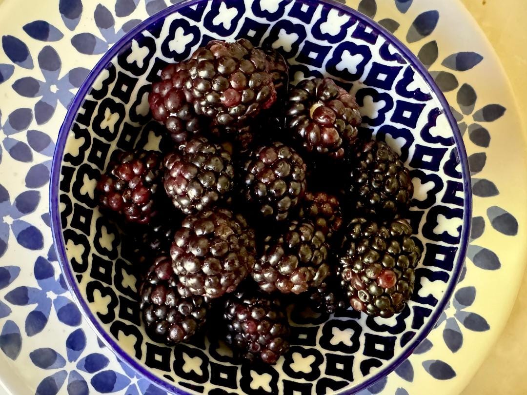 My first trip to Aldi